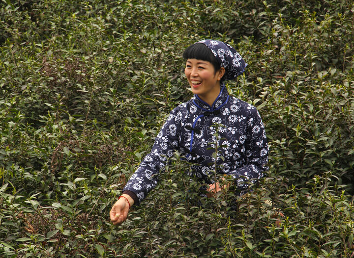 鬼灭之刃 柱训练
